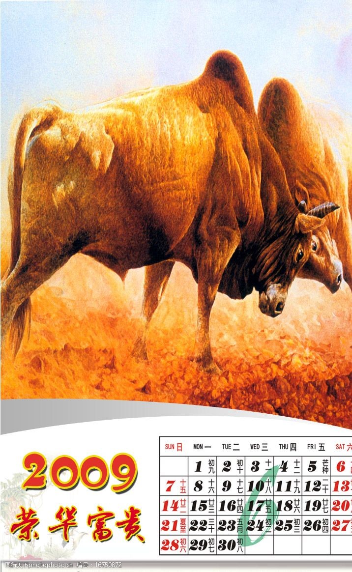 全套台历2009牛年挂历全套6月份图片