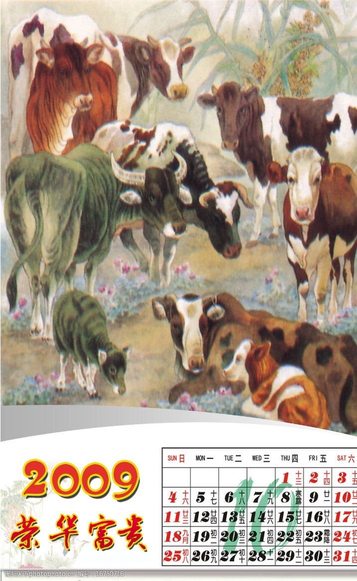 全套台历2009牛年挂历全套10月份图片