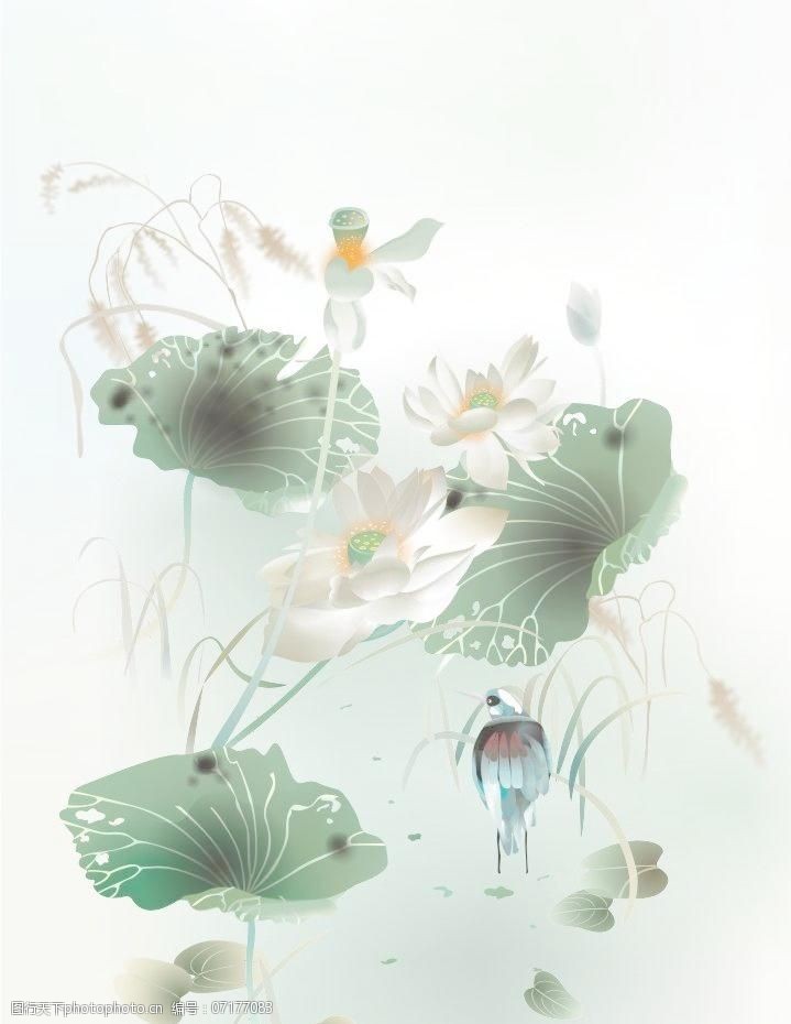 韩国花纹图库精品池塘写真图片