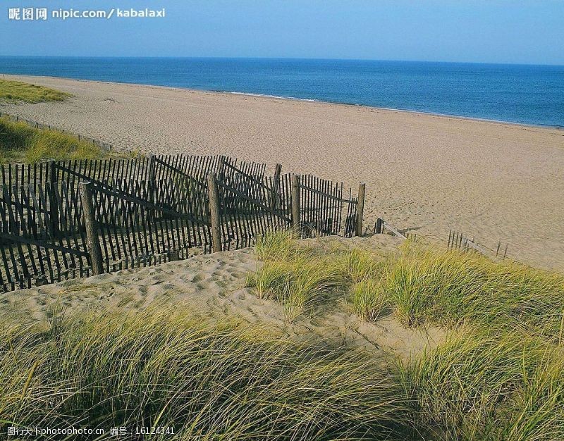 篱笆海滩美景图片