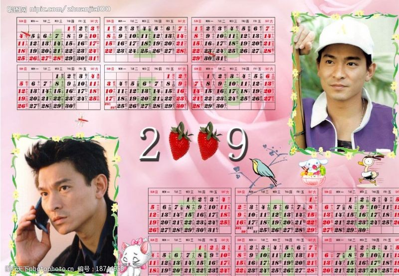 粉色日历2009日历图片