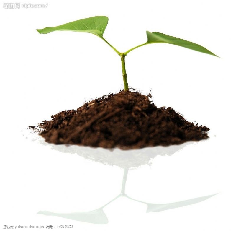 印刷适用泥土与植物图片素材
