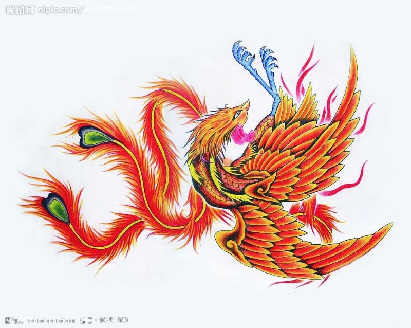 凤凰刺青图片免费下载 凤凰刺青素材 凤凰刺青模板 图行天下素材网