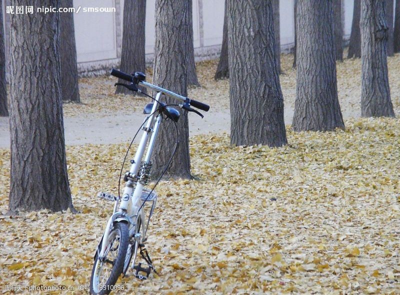 秋钓自行车的秋天图片