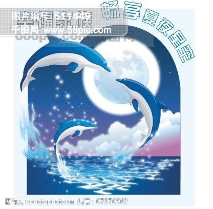 海豚免费下载海豚夏夜星空蓝色水海洋