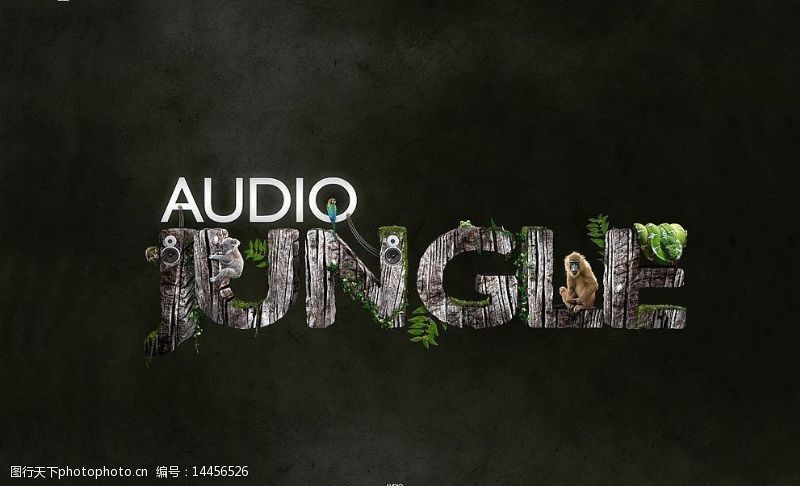 青蛙AudioJungle音乐与自然图片