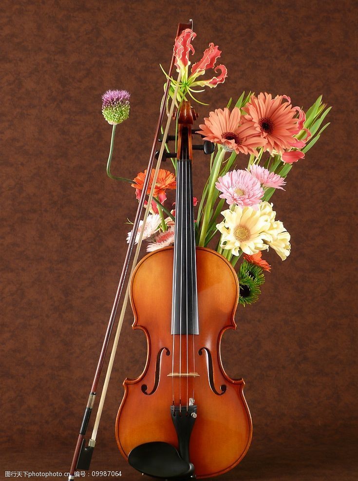 音乐与舞蹈小提琴与花图片