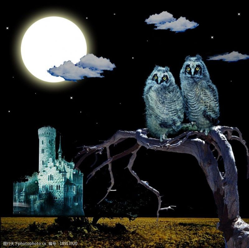草地的鹰图片素材夜黑风高的恐怖黑夜城堡与猫头鹰图片
