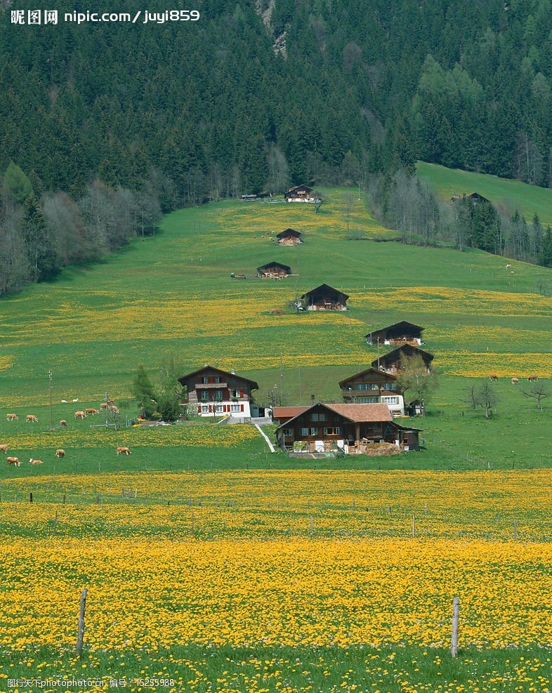 瑞士风光瑞士风景图片