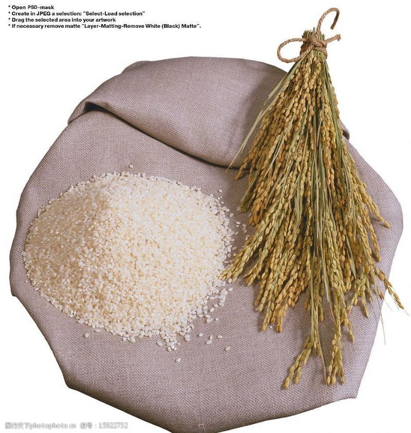 水稻大米图片