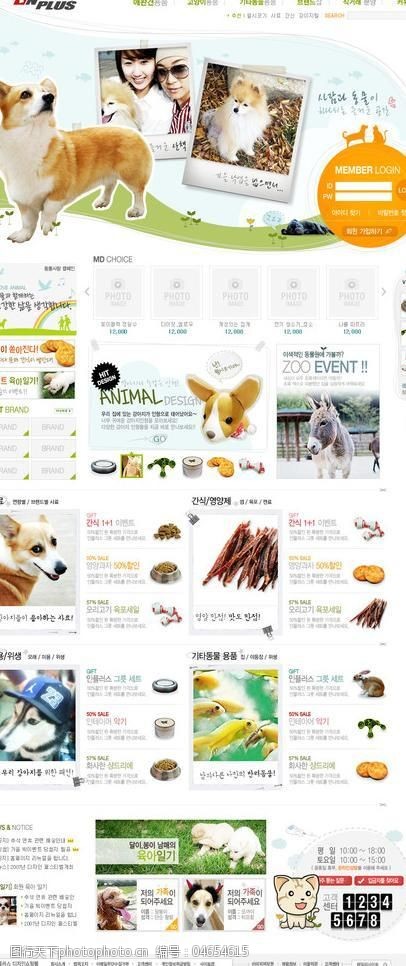中国宠物网宠物商城品牌宠物图片
