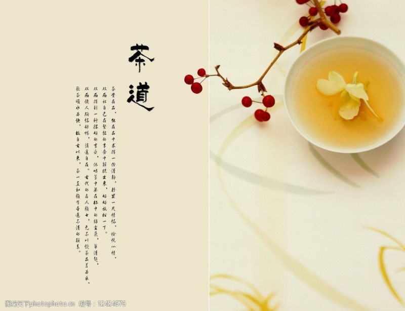 茶叶画册彩页模板茶叶产品对折册内页图片