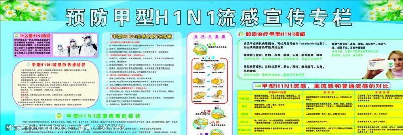猪流感甲型H1N1流感宣传栏图片
